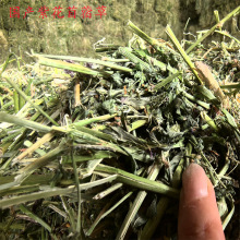 国产苜蓿草干草草捆 优质牛羊草料 奶牛奶山羊草羊驼人气牧草