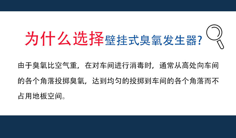 详情-2.jpg