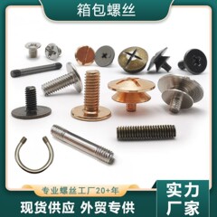 ケースねじM2 M3 M4 M2.5標準ねじバッグ部品固定ねじ金属ねじ現物
