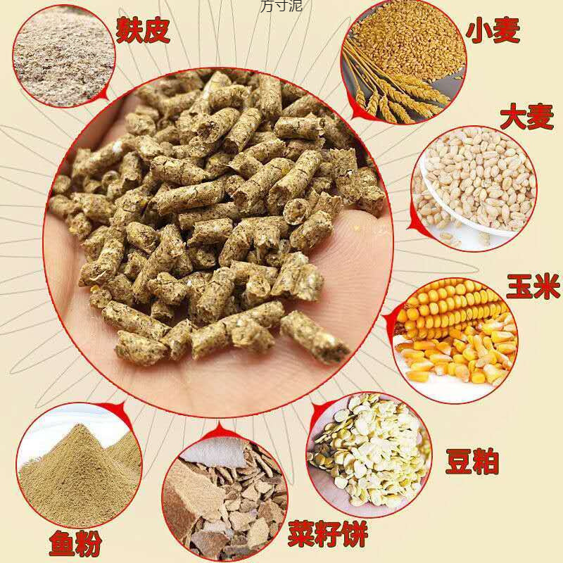 Jinyuantang顆粒、四季顆粒、鯉釣り、鯉釣り、フナ釣り、黒坑、ルーファン釣り、大物卸売工場|undefined