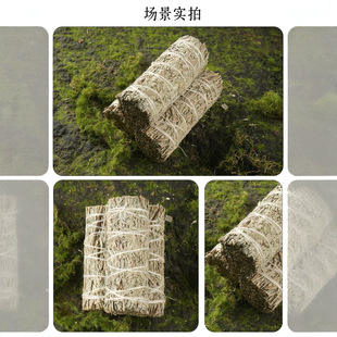 ��β��ѩ���{��β�ݸ����}ľ10���b������޹���ȽM�����b�������g