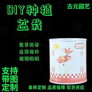 �S�����l�k���ҷNֲ���� ����[������ֲ�ͯdiy�Nֲ���^����