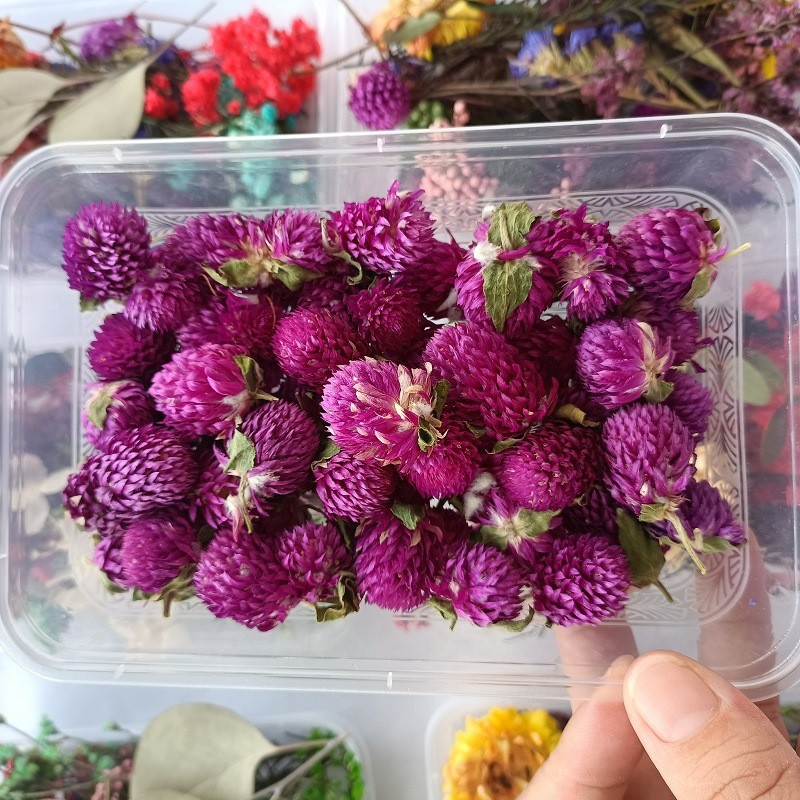 천일 보라색 10 그램