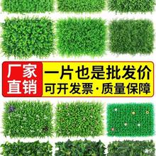 Gֲֲƺb̨҃ȱٲƤT^