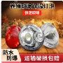 畜牧保暖保温养殖取暖灯