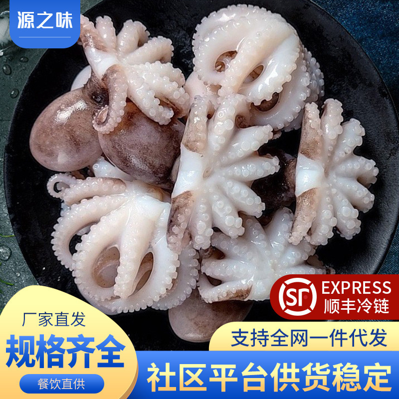 Freshly Frozen Mini Octopus for Commercial Use, Live Sea-Caught Octopus with Head Removed, Gutted, Hot Pot Ingredient
