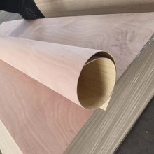 ������A�����ð��z�ϰ���A���w��Į��ΰ���ľ���Ӱ�