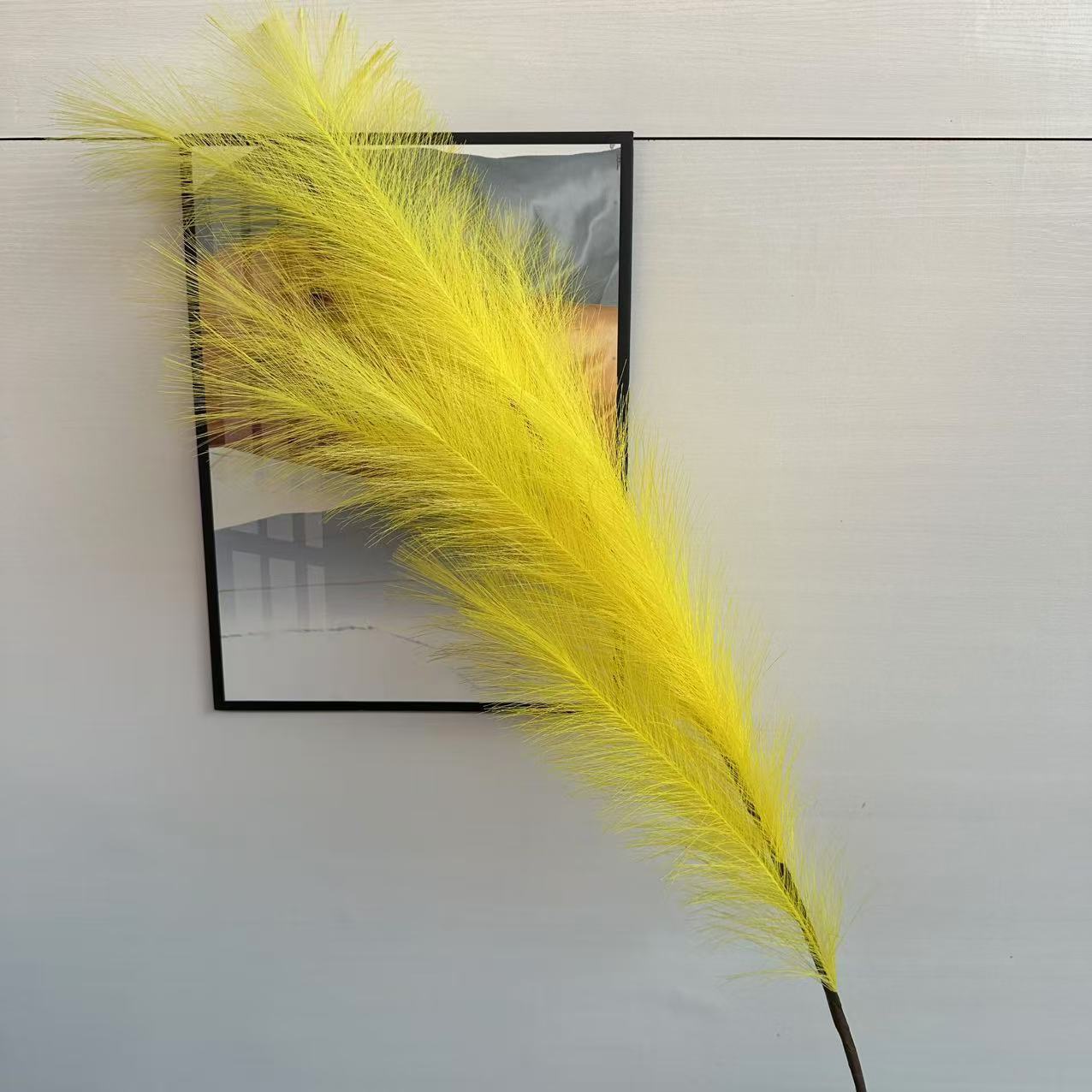 12 forks of hairy grass