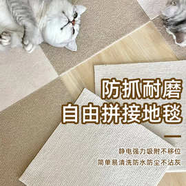 拼接地毯免胶自粘客厅日式婴儿宠物爬行垫卧室办公室满铺方块地垫