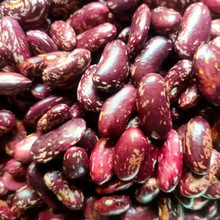 缅甸杂豆 斑马豆荷包豆 紫腰豆紫花芸豆绿竹豆 厂家直发