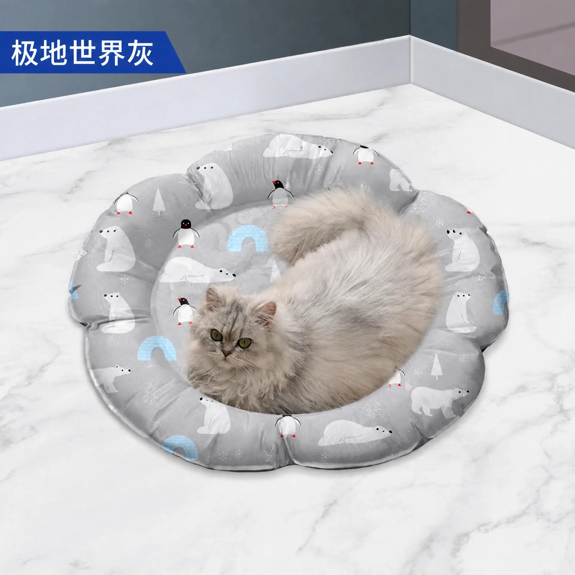 극지 세계 회색