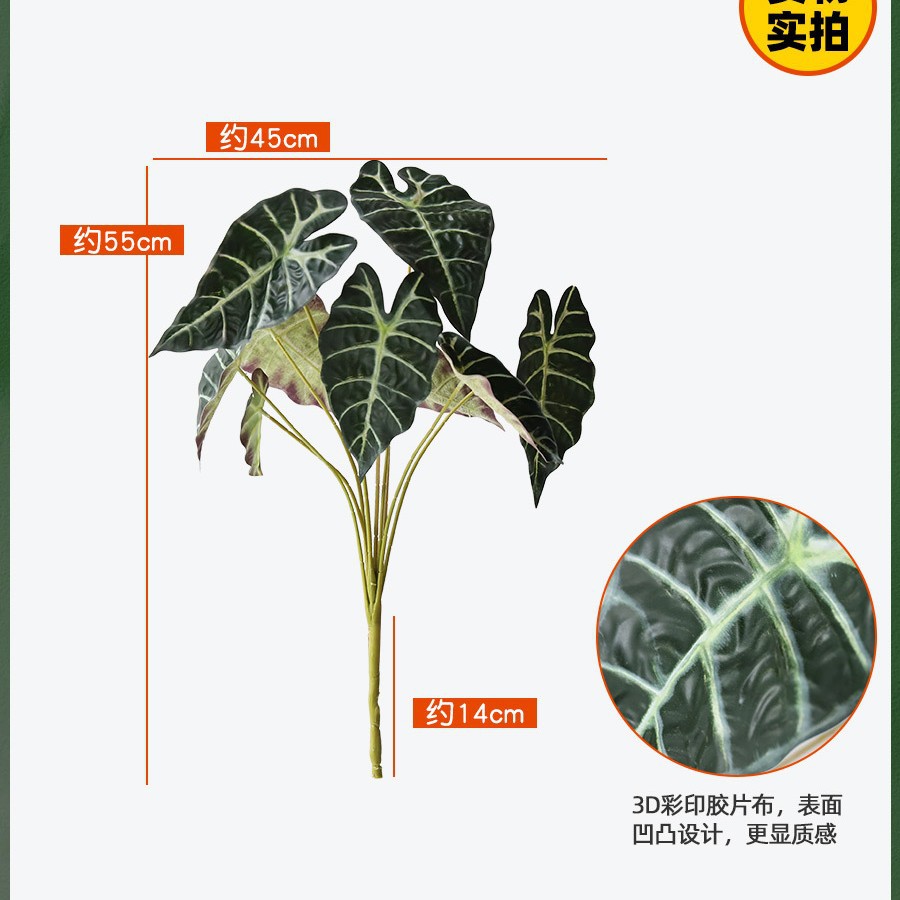 9 aloe leaves dark green