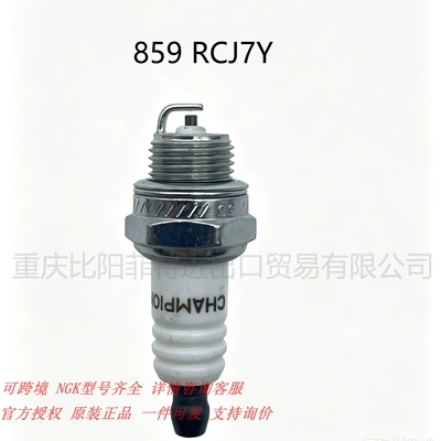 Champion Spark Plug RCJ7Y 859 Alışdırma şamı (Sveçalar)