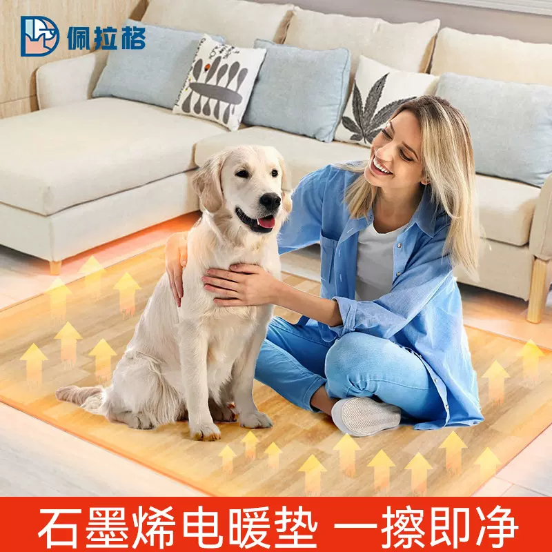 石墨烯防水恒温猫狗加热坐垫移动电热地毯暖脚垫地热垫家用地暖