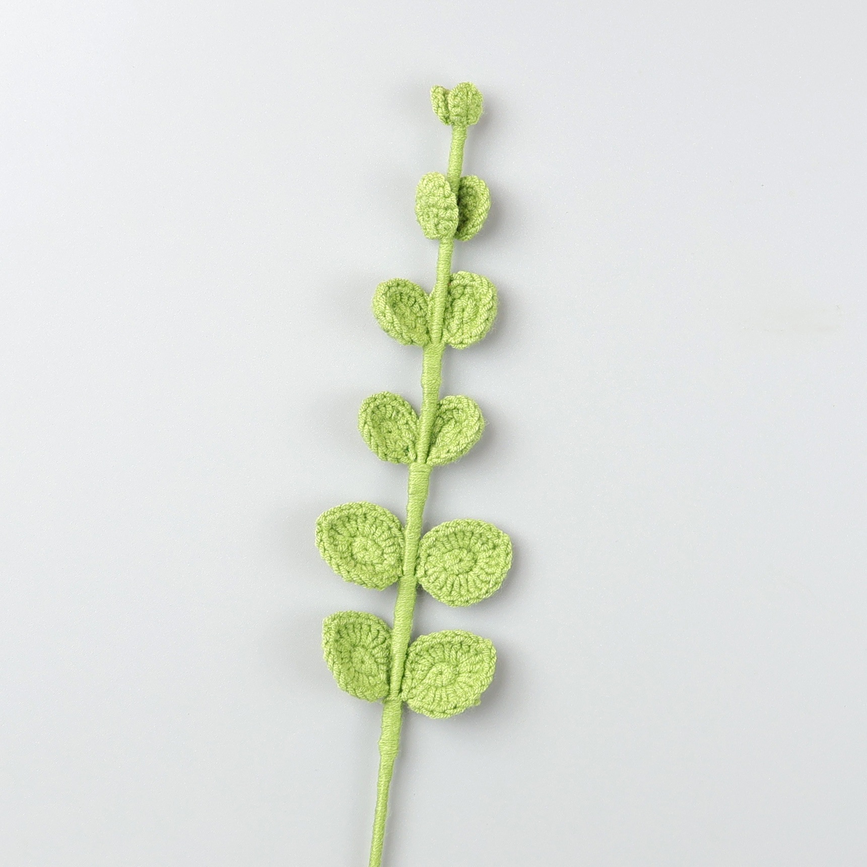 스노우 파이브 유칼립투스 잎-버드 그린(미디엄 그린)