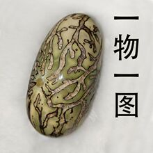 千眼菩提子手把件绿白大果胖果磨好成品 文玩把玩件手磨精品