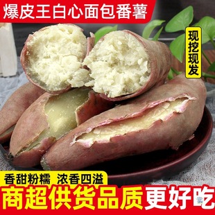 ���ݱ�Ƥ���������r�F�ڰ��İ�������عϳ��ۼt���r���ԷN�����