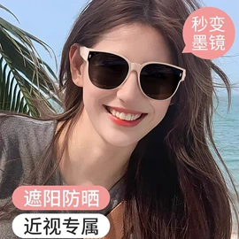 框架眼镜;太阳镜;老花镜