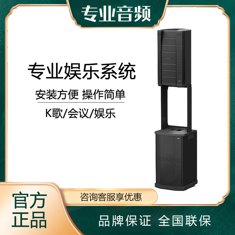 Dr. F1 Model 812 Professional Audio for Cinema Performances and Conferences, Active Subwoofer, Adjustable Array