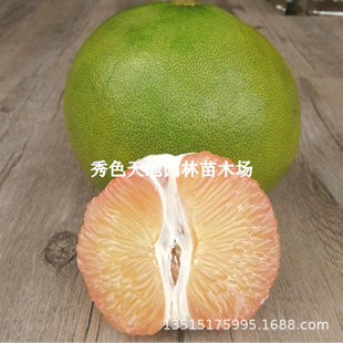 �t��ʯ�����������̩�����_�t�֘���޽���Ʒ�N�tƤ�t�����Ә�