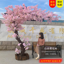 ����ѻ��俧�ȏd�һ������ֲ���S䴺���b��҃��b��Ҙ�