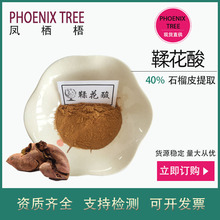 500g起订40%鞣花酸 天然石榴皮提取物 保健品化妆品原料鞣花酸