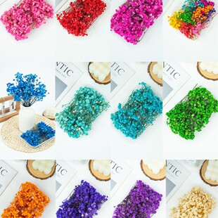 diy���ψF�������޹�ɻ����b����Ƭ��Ƥ��޹������Ȼ���w�ɻ���