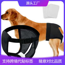 宠物用品狗生理裤母狗月经裤姨妈裤裤狗狗卫生尿裤狗防骚扰裤