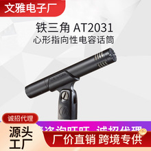 Audio Technica/铁三角 AT2031 电容麦钢琴提琴吉他人声专业话筒