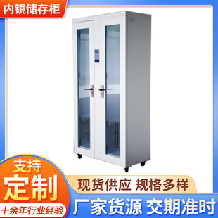 Endoscope Storage Cabinet Hospital Department Storage Endoscope Single Door Soft Mirror Storage Cabinet Double Door Soft Mirror Storage Cabinet