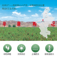 Organic Goji Berries Early Ripening New Arrival Superior Goji Berries Ningxia Goji Berries 500g Raw Material Wholesale Self-owned Organic Farm