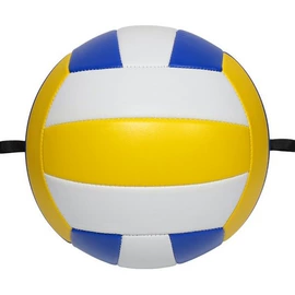 足球;篮球;排球