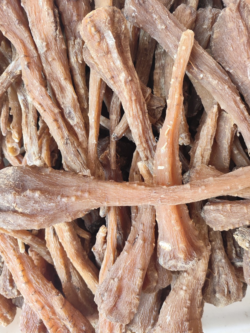 Tibetan Snow Ginseng (藏雪参) — Rare Dried Herbal Root from Tibet, 500g in use