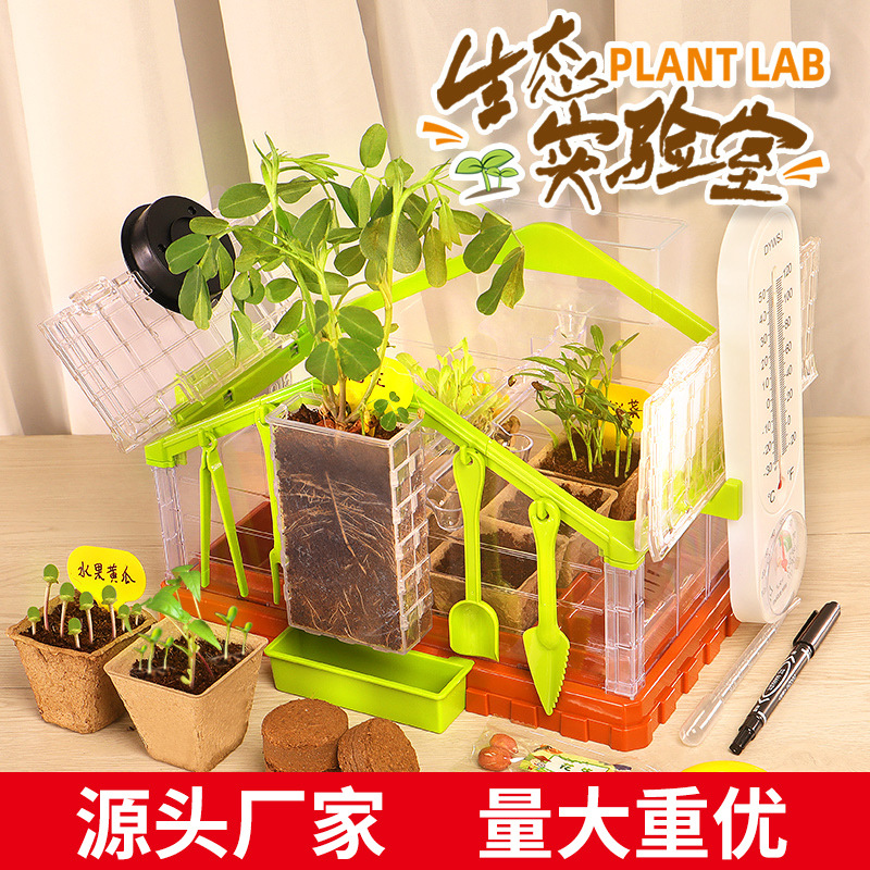 Children's planting sun room DIY small potted solar vegetable toy plant observation window scientific experiment set