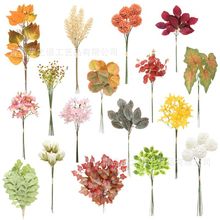 羳¿GɫֲoMϼپGֲDIYﻨY廨b