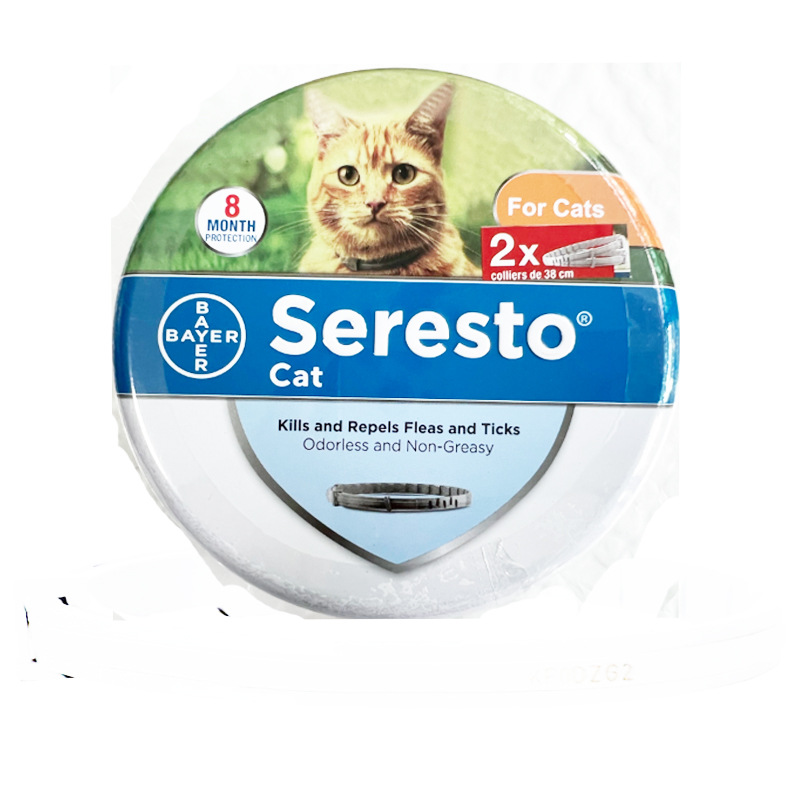 New American version of kitten double circle