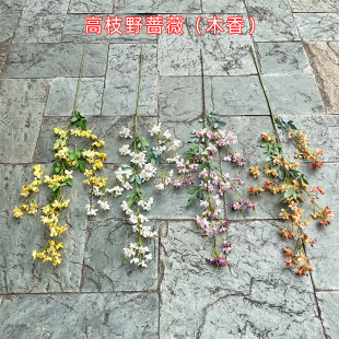 2023���¿�����Nޱ���� ��֦Ұ�Nޱ ľ�� ��픻�c�bٻ����l