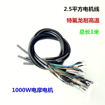 Electric Vehicle 2.5 Square Meter Motor Wire, Electric Motorcycle Eight-Core Wire, 1000W High-Temperature Resistant Motor Wire, Teflon Wire for High Temperature (Other Electric Vehicle Accessories)