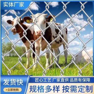 ���P��\�F�z�W䓽z�W������o�ھW�����Bֳţ��r�u�W�ˈ@�����W