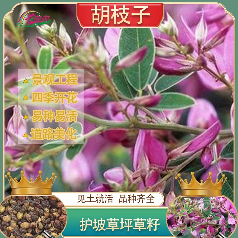 Озеленение кустарников для защиты склона