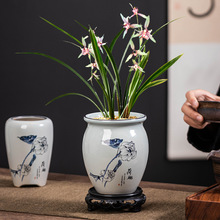兰花花盆陶瓷仿青花手绘盆景盆家用绿植发财树文竹桌面盆栽带托盘