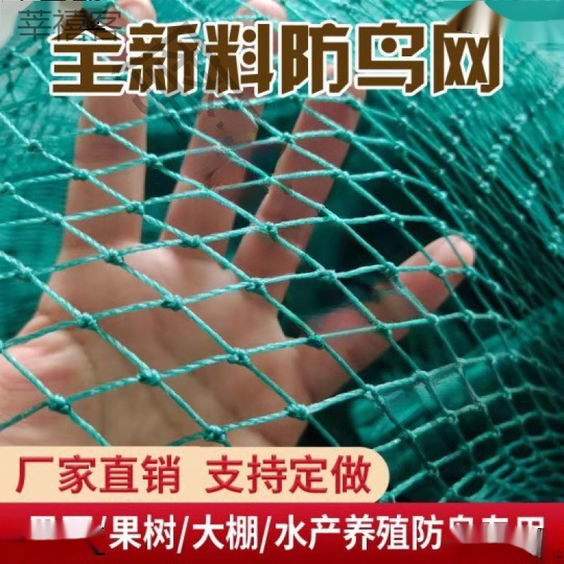 防鸟用网果树樱桃葡萄大棚果园农用防鸟网鱼塘养殖天网尼龙防老化