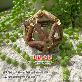 猫猫玩具;猫猫食具