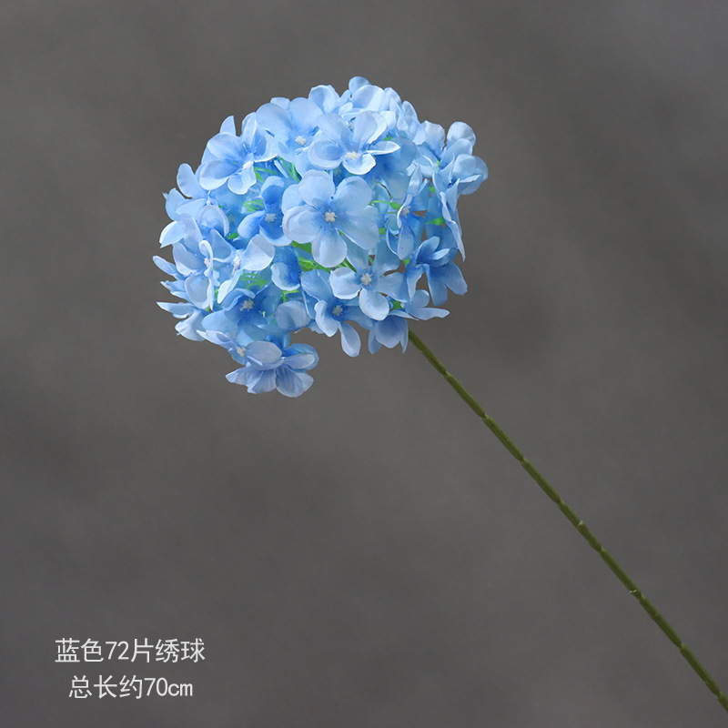 파란색 72피스 수국