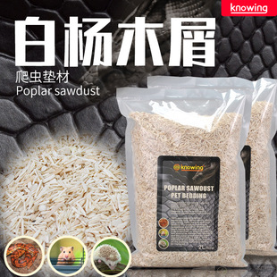 Knowing�Z��ח�ľм�|�������ߌ����������}����o�����쾰�|��