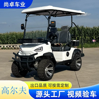Electric Golf Cart 2-8 Seats Sightseeing Car for Export, Suitable for Scenic Spots and Golf Courses, Customizable Fuel Options Available (Elektrikli qolf avtomobilləri) - single-row-two-seater-golf-cart