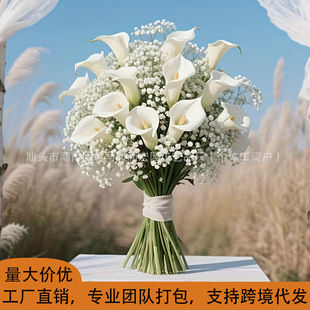 �羳�R��ɏ�M���ǽM�ρ��R�dtemuƽ̨������滨�ٻ�Դ�^�������S