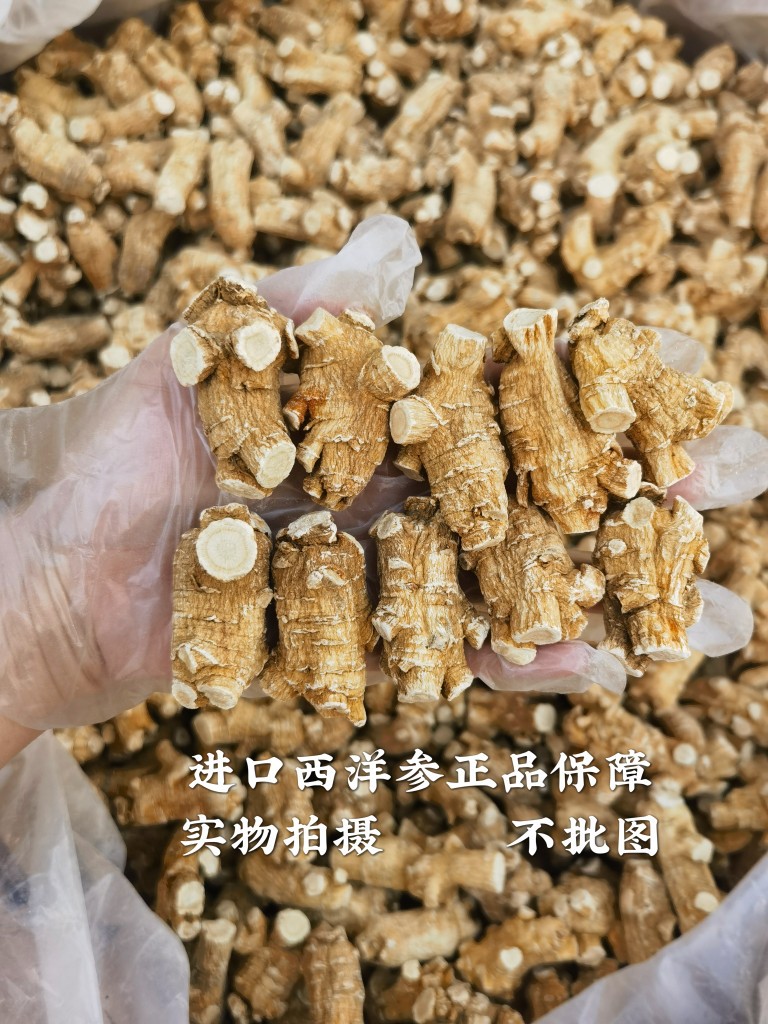 American Ginseng Root Xi Yang Shen Panax quinquefolius Whole Roots 500g Canadian Grown preparation