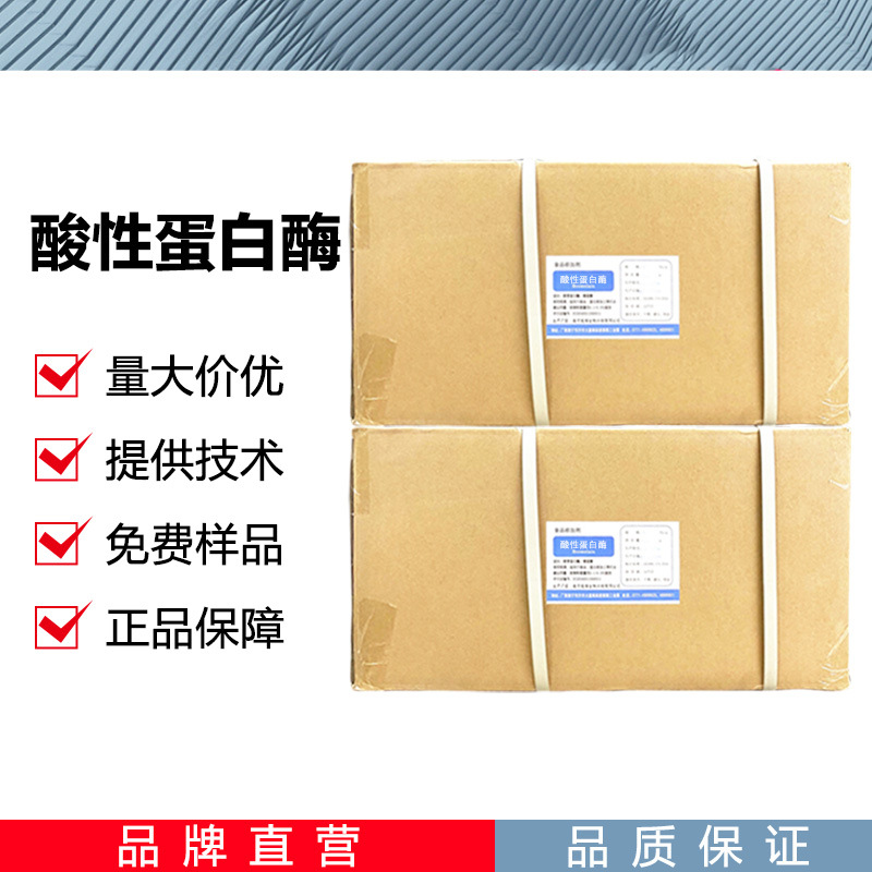 酸性蛋白酶 CAS：9025-49-4酶制剂原料蛋白分解酶现货