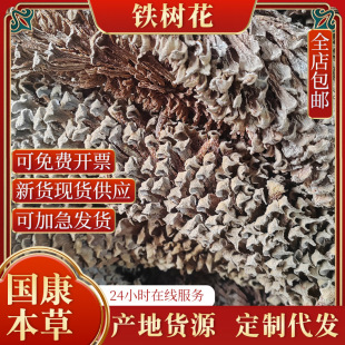 �S�ҬF؛���lɢ�b500�˰��]�F�仨�Pβ�����F�仨�F������N�䱳